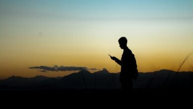 digital exploration profile summary
