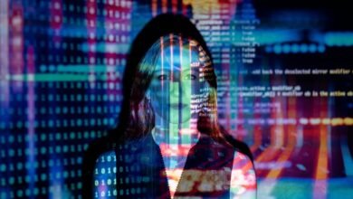 emerging digital entity concept
