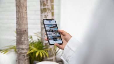 online content exploration insights