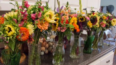 The Journey of Fresh Flowers from Farm to Vase