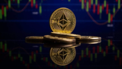 What Is Crypto Colocation: Beginners Guide