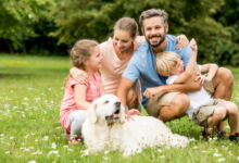 Should I Sell My Shares and Put into Super?