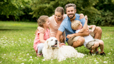 Should I Sell My Shares and Put into Super?