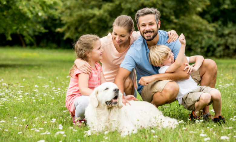 Should I Sell My Shares and Put into Super?