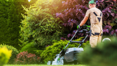 Professional Lawn Mowing Service in Minneapolis: Reliable Care for Healthy, Beautiful Lawns
