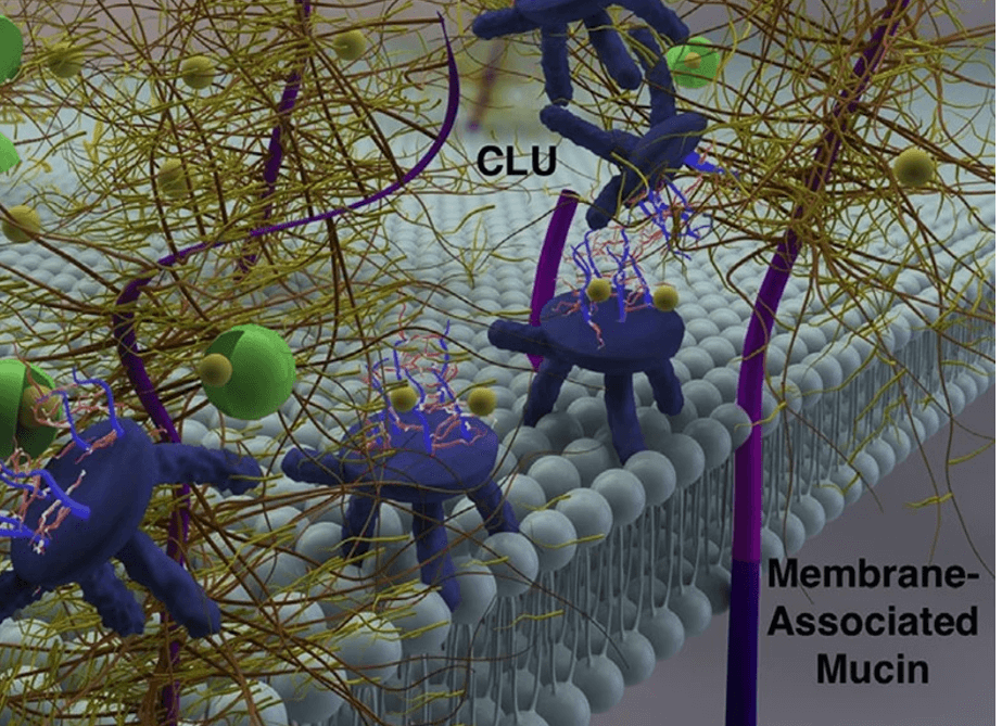 Power of Medical Illustrations and Animations in Modern Healthcare - miroirpmu - miroir pmu