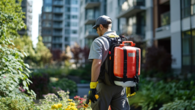 Best Pest Control Abbotsford Experts for Effective and Reliable Solutions