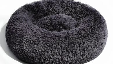 Bed Dog Cover and Spare Dog Bed Covers – The Smart Way to Keep Your Pet Comfortable and Your Home Clean