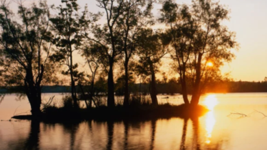 Alcohol Detox in Bakersfield, CA: Your Complete Guide to Safe Recovery