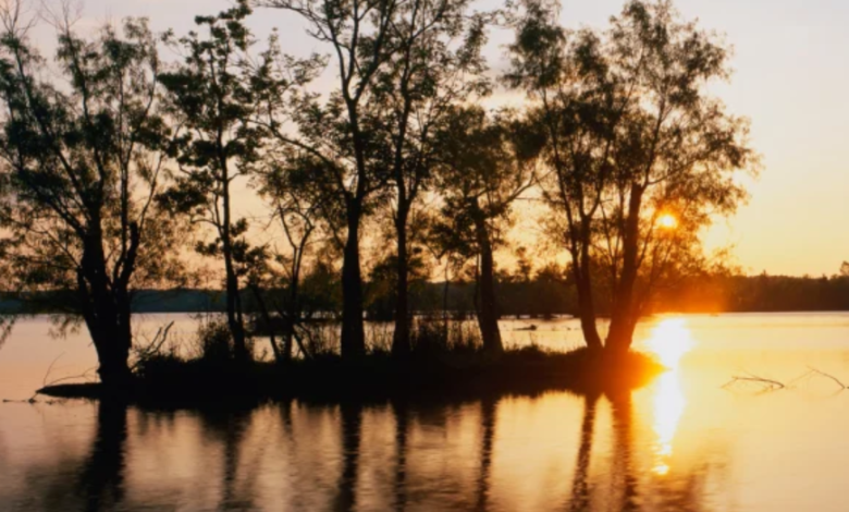 Alcohol Detox in Bakersfield, CA: Your Complete Guide to Safe Recovery