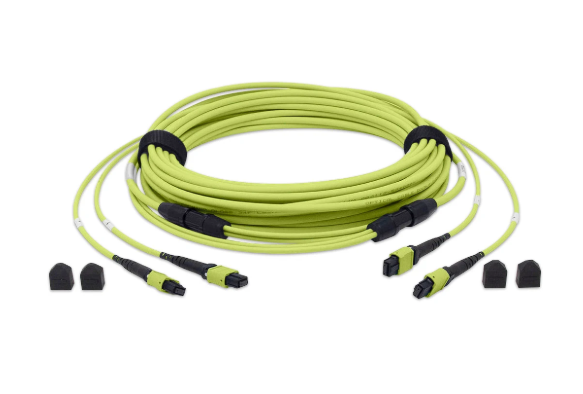 Understanding the Role of 24F MTP Trunk Cable in High-Speed Networks